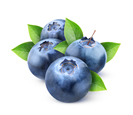 Blueberries