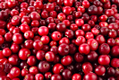 Cranberries